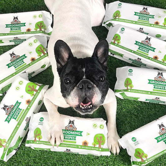 9 Things you Need to Know about Pogi's Grooming Wipes