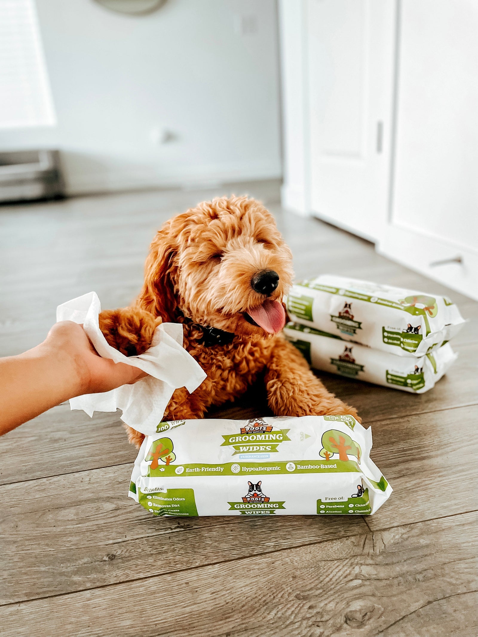 How to Choose the Best Dog Wipes (What Actually Matters)