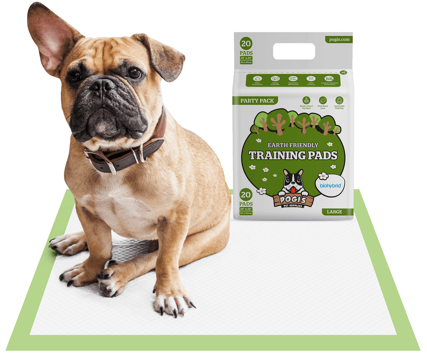 20 pack / large (24 x 24 in)