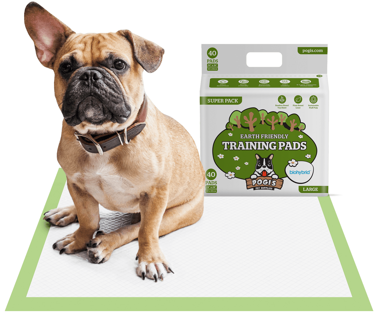 40 pack / large (24 x 24 in)