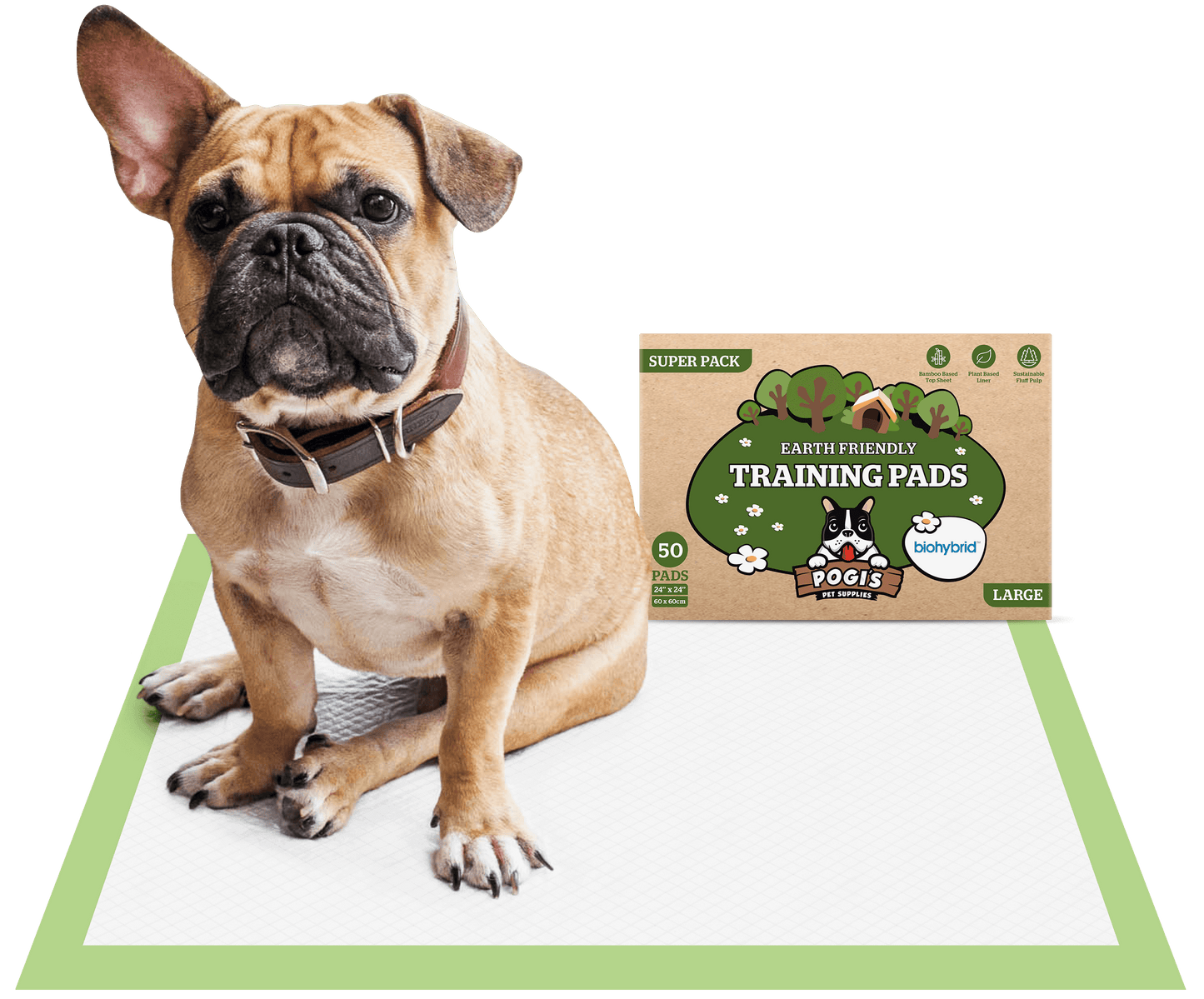 50 pack / large (24 x 24 in)