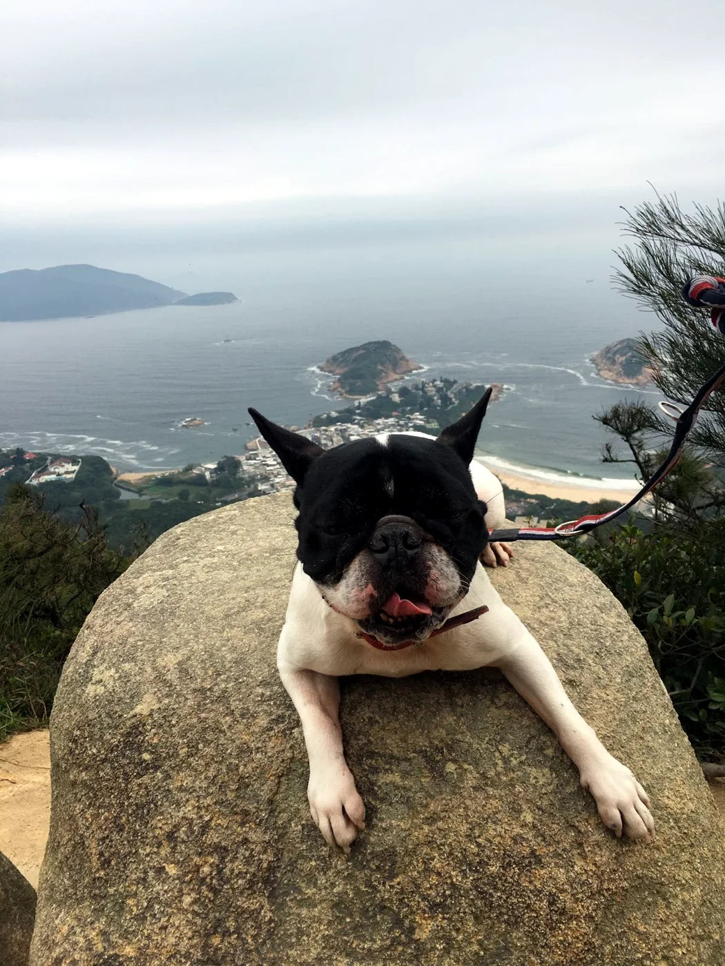 最初は、
うんち袋から。