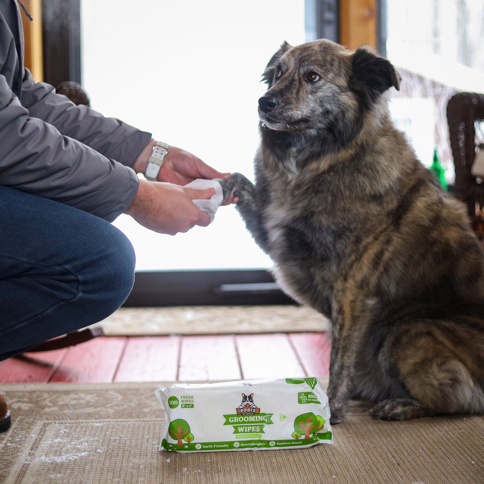 How to Wash Your Dog (and Keep Them Clean Between Baths)