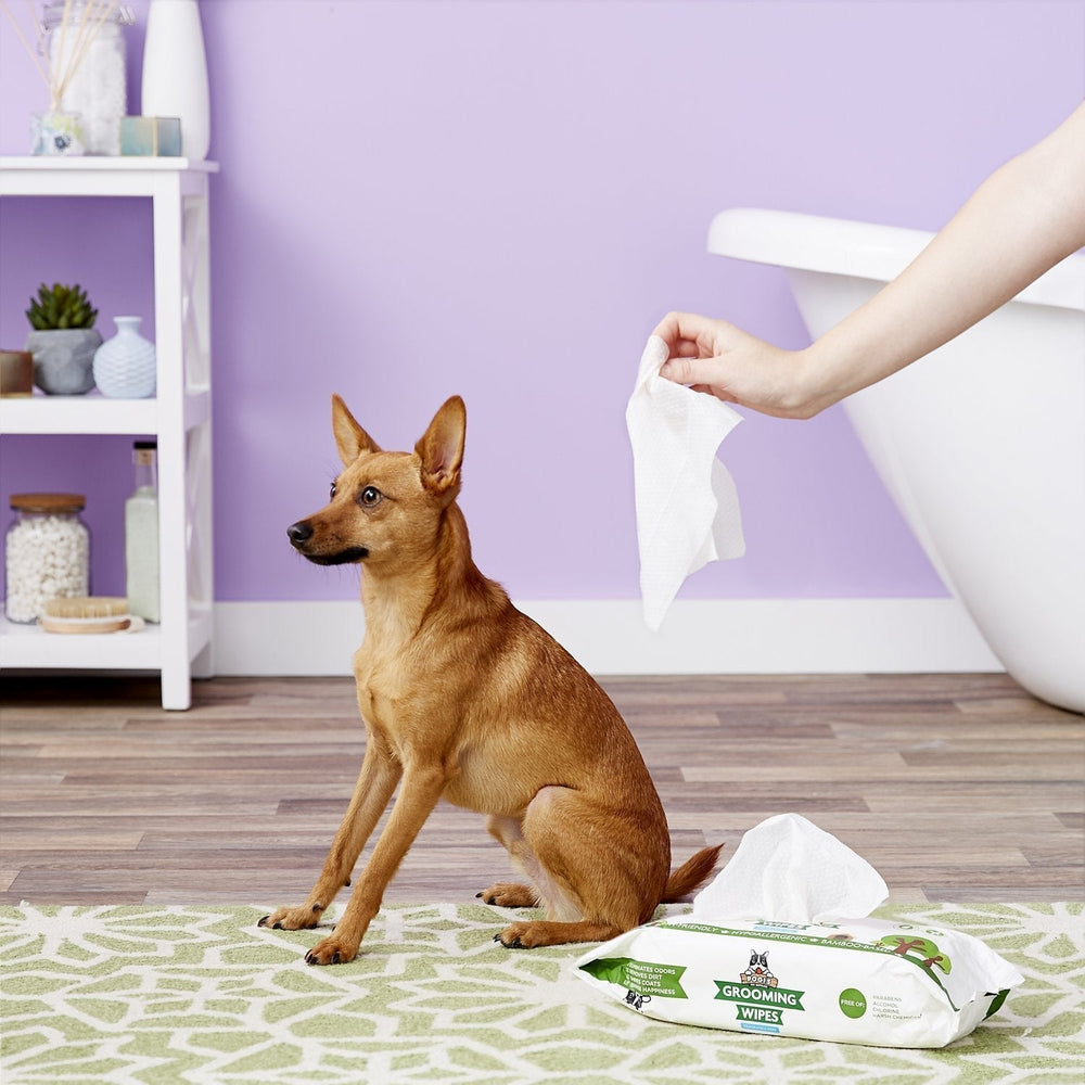 Choosing Dog Grooming Wipes: Ingredients, Size and Pack Options
