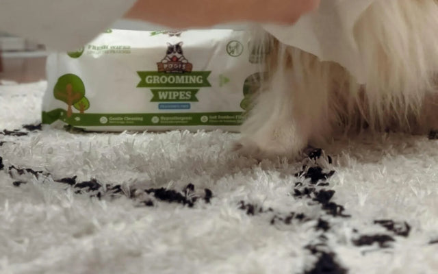 Happy dog with Pogi's grooming wipes
