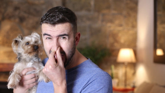 Man holding dog while pinching nose from bad smell