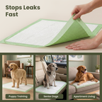 Pogi's Dog Training Pads