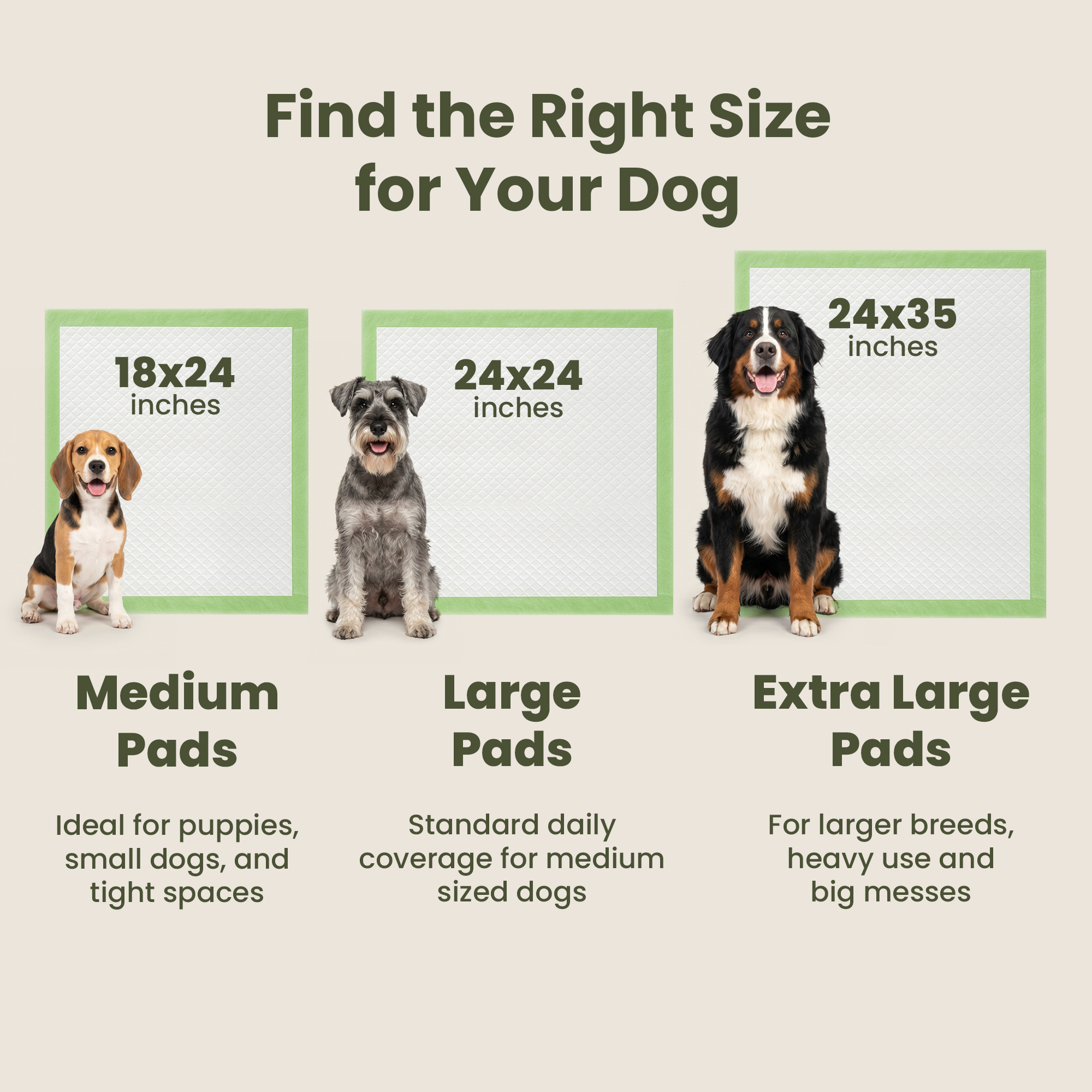Pogi's Dog Training Pads