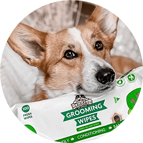 Pogi dog deals wipes
