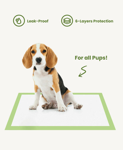 Pogi's Plant-Based Pet Training Pads