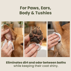 Wiping a dog's muddy paws with Pogi's Dog Grooming Wipes