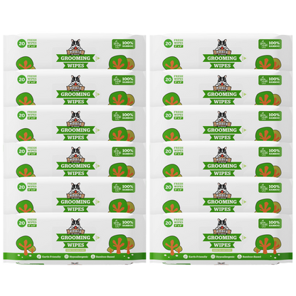 Green Tea Scent / 12 Packs of 20 (240-Count)