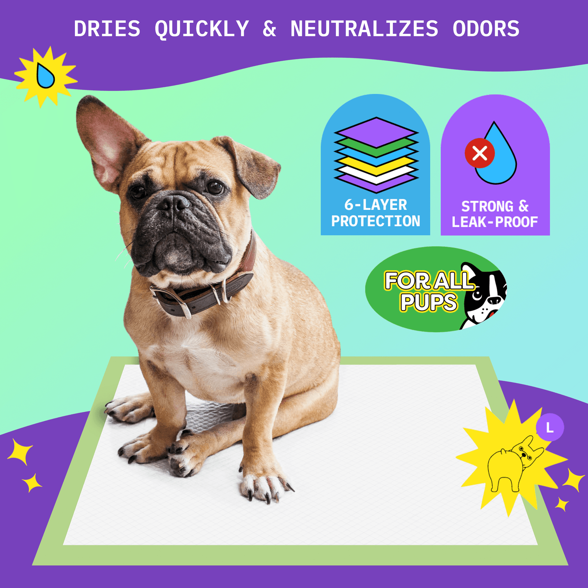 Buy Plant based Pet Training Pads Puppy Training Pads Pack