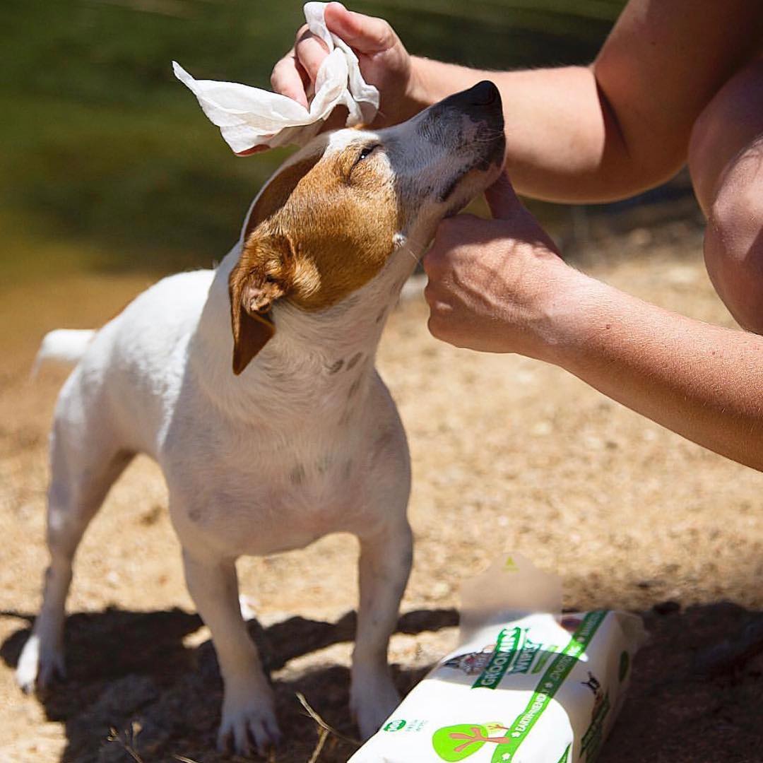 Pogi's Plant Based Grooming Wipes