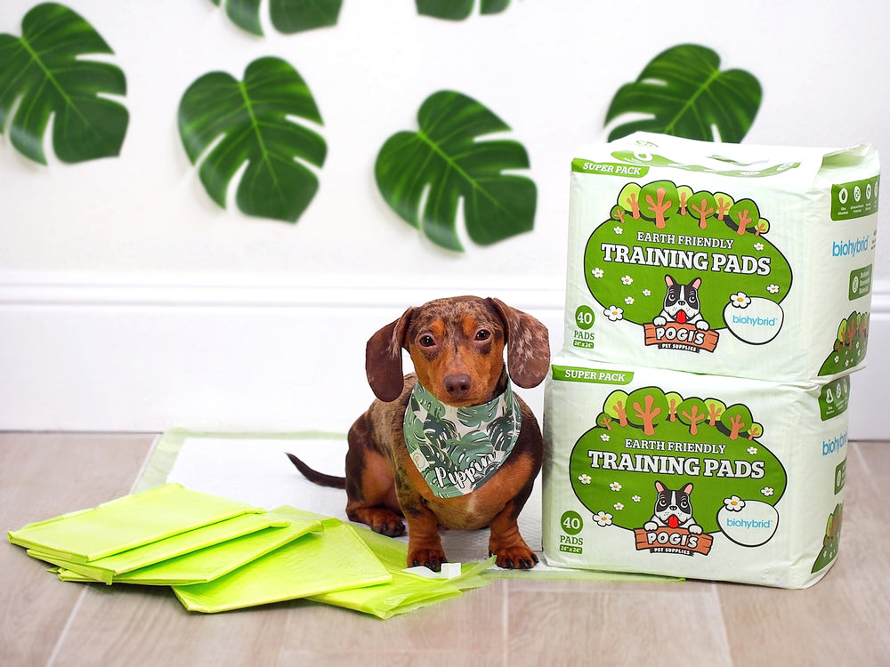 How to Choose the Best Puppy Pads (What Actually Matters)